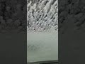 Trippy car cash