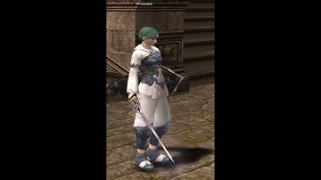 Lineage 2  - Level 80+ Soultaker  (Chilling -  L2Saint.com)