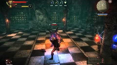 The Witcher 2 - Vran Battle