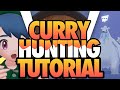 Curry Hunting Tutorial! | How to shinyhunt curry encounters?!