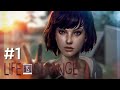 Comment jai pu vivre sans ce jeu    life is strange 1