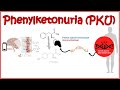 Phenyl Ketonuria ( genetic defects in amino-acid metabolism)