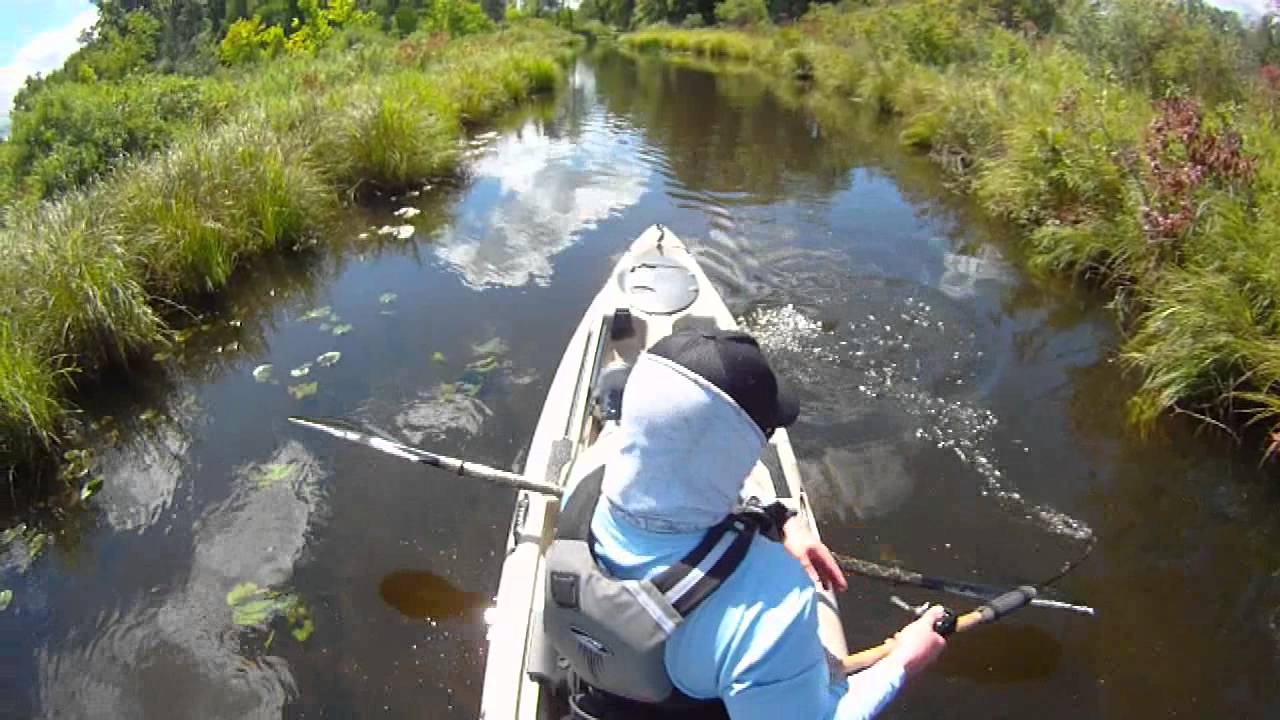 Anatomy of a Pike Strike - YouTube