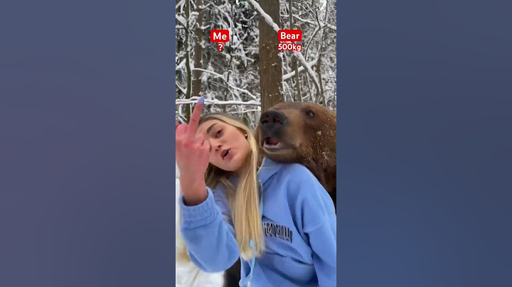 Rate my cute bear 1-10 🐻♥️🔥 Credit @Belitskay
