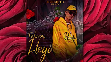 Bebeshito - Febrero Llego