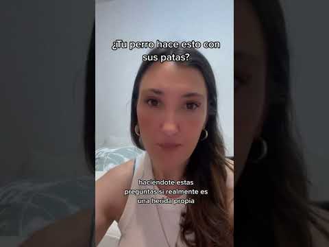 Si tu perro se lame las patas, mirá este video hqdefault