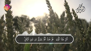 السورة المنجية من عذاب القبر | سورة الملك | تلاوه ندية محمود المرسي