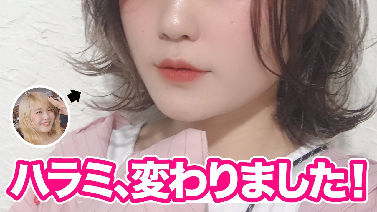 年齢 ハラミちゃん ハラミちゃんの年収に唖然!年齢が42歳は本当?身長体重や本名も！