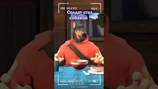 Солдат Стал Собакой #Озвучка #Tf2 #Sfm #Рек #Анимация #Shorts