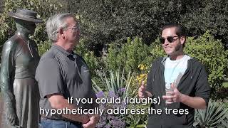 Smoke a Tree, Plant a Tree! Serene Tree Partnering Up With "Tree San Diego" For Arbor Day!