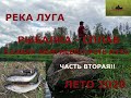 Река Луга. Кингисепп - Куровицы рыбалка - сплав, лето 2020