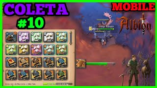 0 a 100M (EP- #10) ⚒️ Albion Online