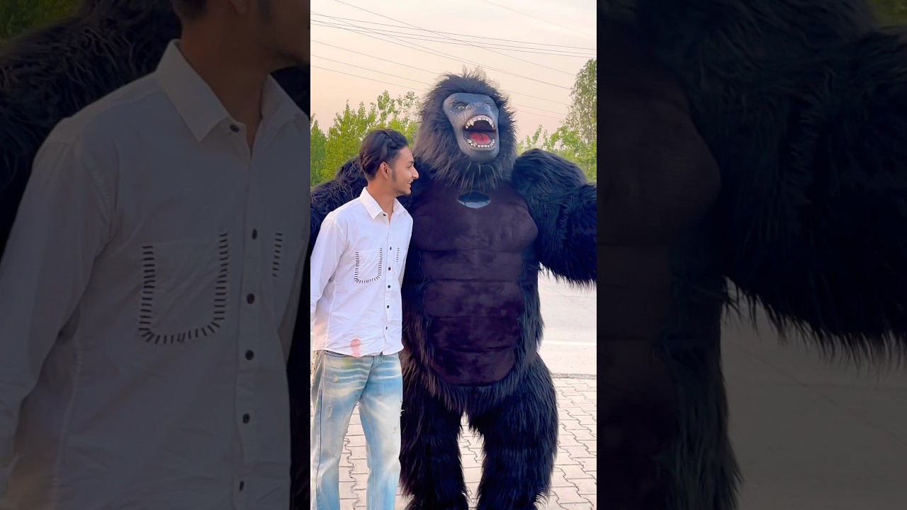 Again meet 🦍bhalu #viral #trending #ytfam #roadtrip #vlogs #vlog #viralshorts #youtubeshorts #video