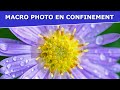 Macro photo de petites fleurs : Exercice photo confinement 07