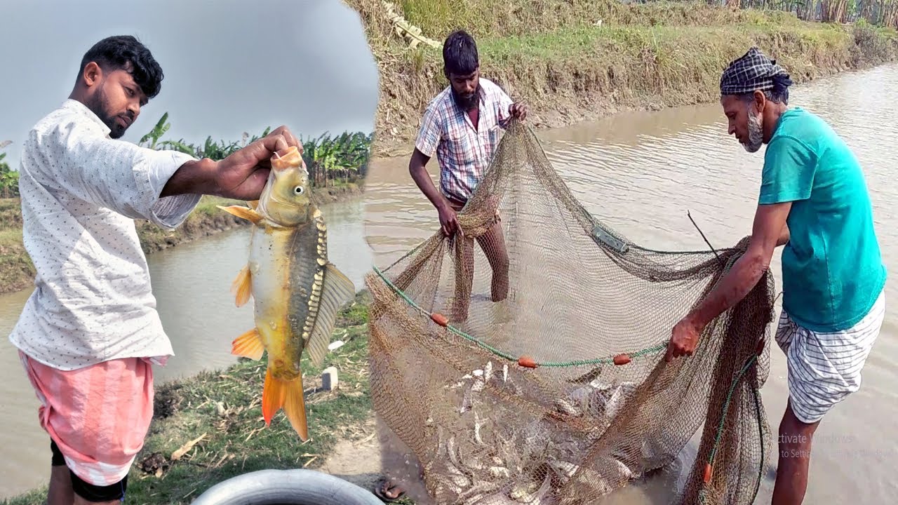 Amazing Fishing video | Fishing Documentary in Bangladeshi Village - 2022