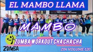 ZIN 120 EL MAMBO LLAMA - MAMBO - ZUMBA CHOREO - ZUMBA MUSIC ZIN VOLUME 120 - ZUMBA @AdindaAeroZumba 