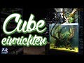 90l Cube Aquarium einrichten | AquaOwner