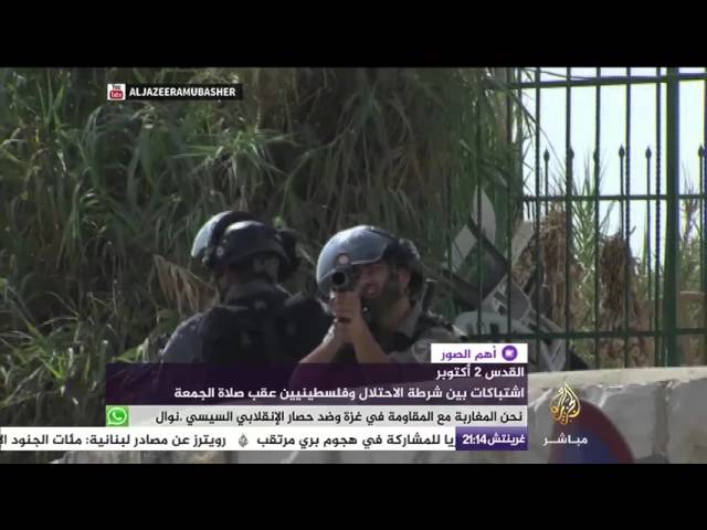 مستوطنون يشعلون النار بأشجار الزيتون واشتباكات بين شرطة الاحتلال وفلسطينيين