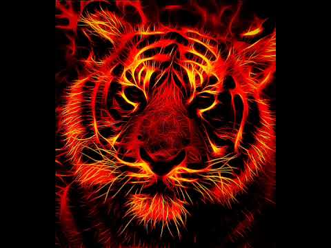 MARXO Level Up 1 Hour Without Interruptions 