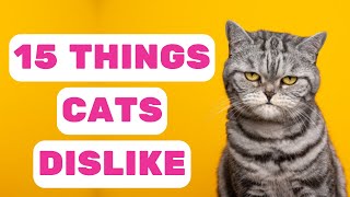 15 Things Cats Can't Tell You They Hate: Unspoken Dislikes by Pet in the Net 199 views 8 months ago 4 minutes, 52 seconds