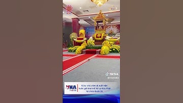 Chú chim sẻ bất ngờ xuất hiện như một dấu hiệu thiêng liêng về sự bình an và từ bi của Đức Phật -VNA