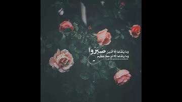 حالات واتس اب قران ♥️🖇️|| حالات واتس قرأن || تلاوة خاشعة || Quran Status🖇️💙 اية قرانية قصيره🎧❤️
