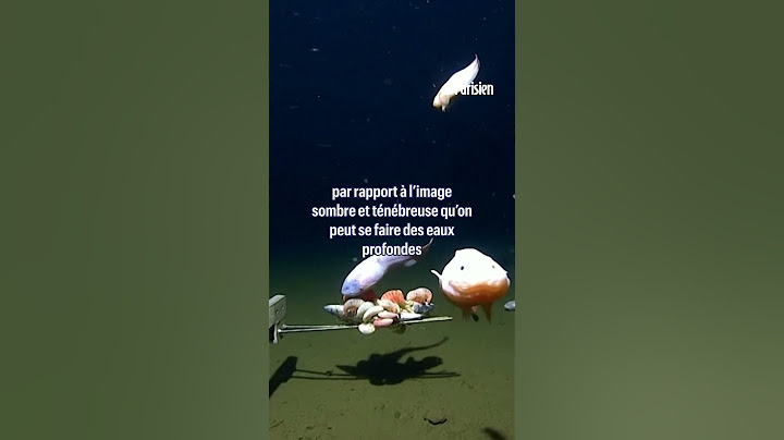 Voici le poisson le plus profond jamais filmé dans l'océan
