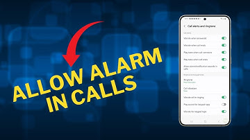 How to Turn On Allow Alarm/Notification Sounds In Calls On Galaxy S24