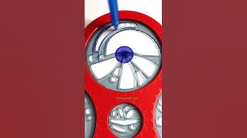 Spirograph drawing - Is blue the best #satisfying #asmr