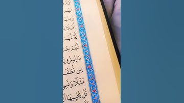 #القران #القاريء سمير الصالحين #اكسبلور #قرآن كريم-سورة يس