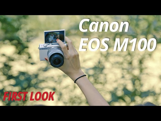 Hasil gambar untuk AF Canon EOS M100