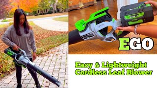 EGO - BEST Leaf 🍁 Cordless BLOWER Ever [56v] [Fit All] by MCnNC 108 views 1 year ago 14 minutes, 27 seconds