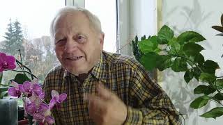 видео: Сто секретов выращивания сладких томатов по Распопову, что можно, а что не стоит применять в РЗ картинка: Сто секретов выращивания сладких томатов по Распопову, что можно, а что не стоит применять в РЗ