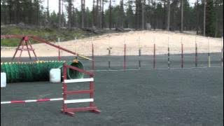 Agility alkeisjatko 2012 08 05 Saila Maisa 04