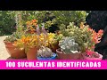 100 SUCULENTAS IDENTIFICADAS | Nombres Cientificos