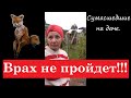 Неадекватная соседка не дает открыть ворота и проехать машине.