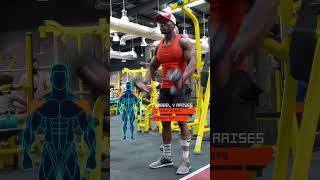 Dumbbell Y Raise How To