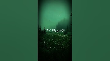 جزء من سورة مريم للقارئ ( عبد الرحمن مسعد ) #سورة_مريم #عبدالرحمن_مسعد #قرآن