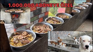 1 MİLYON ABONEYE ÖZEL KÖPEKLERİME MANGAL PARTİSİ YAPTIK