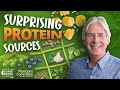 Protein In Foods You’d Least Expect | Christopher Gardner, PhD. on Exam Room Podcast
