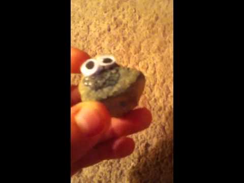 How to care for your pet rock
