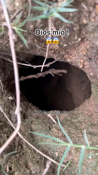 Nunca te les acerques😳😭 #humor #comedy #comedia #funny