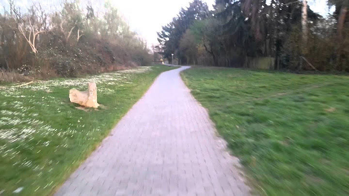 40km/h HS E-Bike / Pedelec /S.pedelec " Victoria Hockenheim "
