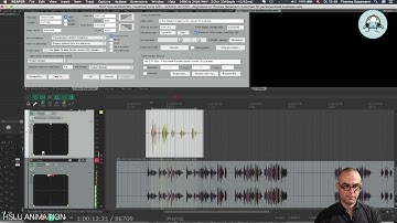 Tutorial 4e - Surround in Reaper - Rea Surround Track Visibility in TCP