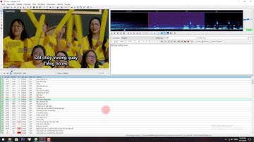 Tự học Aegisub - Typeset chỉnh sửa thẩm mỹ cho phụ đề video trên Aegisub