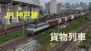 JR 神戸線　加島陸橋　貨物列車　EF210 EF66