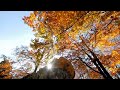 RELAXING MUSIC. CALM MUSIC and MEDITATION MUSIC