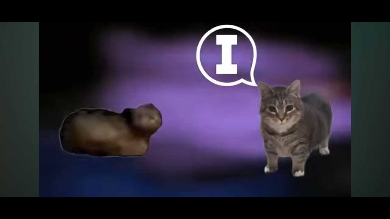 (OIIA OIIA CAT [and] MAXWELL) [DRUM (AND) BASS REMIX] )CAT COVER(