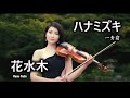 ハナミズキ - 一青窈 バイオリン  (Violin Cover by Momo) 花水木 小提琴