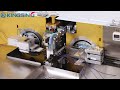 Automatic wire stripping twisting and tin soldering machine